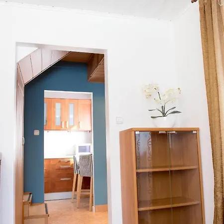 W Dabrowie Wielogłowy