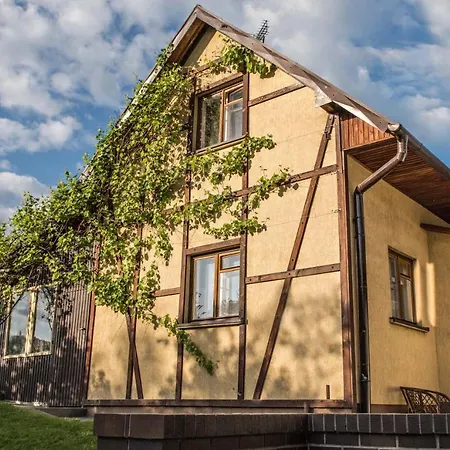 W Dabrowie Wielogłowy