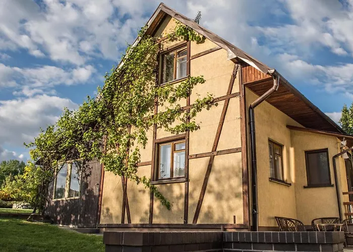 W Dabrowie Wieloglowy